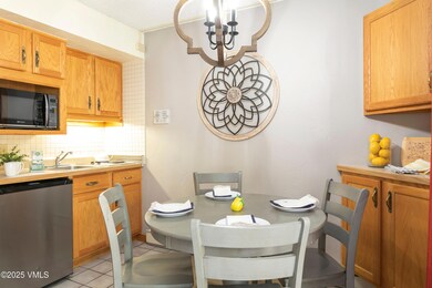 555 E Lionshead Cir unit 202, Vail, CO 81657 - photo 6