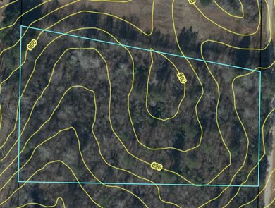 Lot 1 Pine Farm Rd, Lafayette, GA 30728 - photo 5