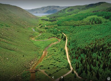 Aerial view of property's location with a mountain backdrop and a forest