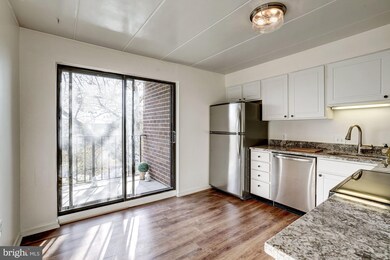 132 Roberts Ln unit 302, Alexandria, VA 22314 - photo 3