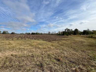 0 Fish Pynes Rd, Pansey, AL 36370 - photo 6