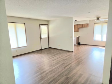 1010 W Cherokee St, Springfield, MO 65807 - photo 3