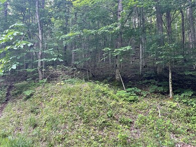 000 Chestnut Ln, Mars Hill, NC 28754 - photo 3