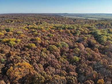 00000 S4290 Rd, Big Cabin, OK 74332 - photo 4