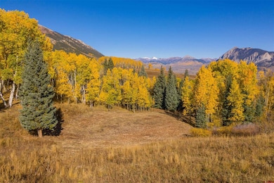 794 Red Mountain Ranch Lower Loop, Crested Butte, CO 81224 - photo 3