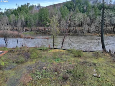 90409 Mountain View Ln, Walterville, OR 97489 - photo 7