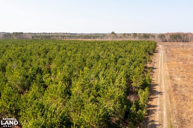 0 Mapleton Rd, Murfreesboro, NC 27855 - photo 7