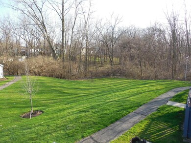 View from Deck