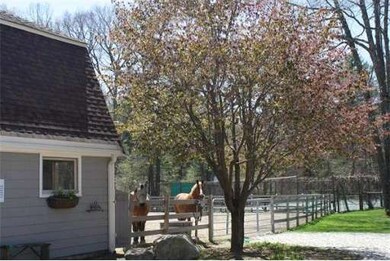 Carousel Image