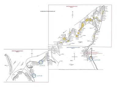 Plat map of Hog Bend area of PK Lake; this propert