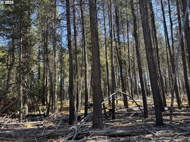 0 Cloudcap Dr unit 6, Chiloquin, OR 97624 - photo 2