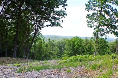 0 Welcome Hill Rd unit 4809956, Chesterfield, NH 03466 - photo 5