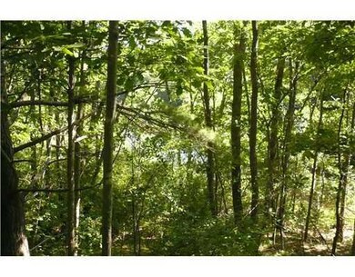 Land/Lot. View from top of knoll...