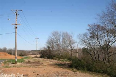 3795 Donnell Ridge Rd, Conway, AR 72034 - photo 4