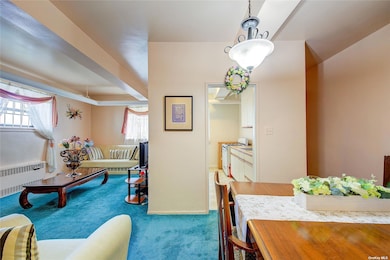 The Alpine unit B10, Hollis, NY 11423 - photo 6