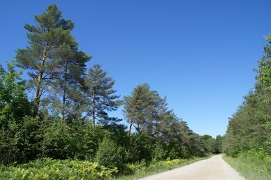 2015-07-22 08.47.43
