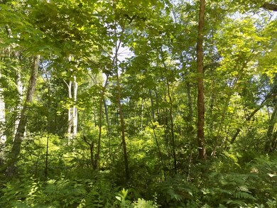 0 Patrill Hollow Rd unit 72021589, Hardwick, MA 01031 - photo 2