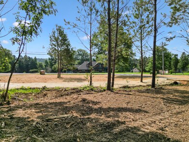 5289 McDonald Rd, McDonald, TN 37353 - photo 4