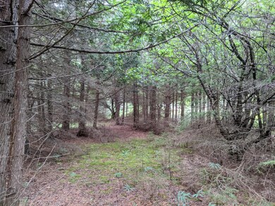 Gorman Rd 3.4 acres (3)