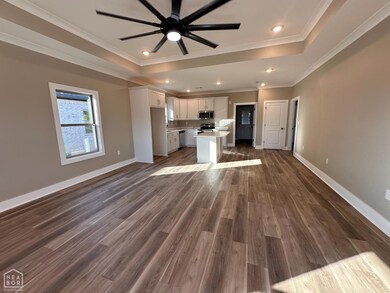 118 Olympia Ave, Manila, AR 72442 - photo 3