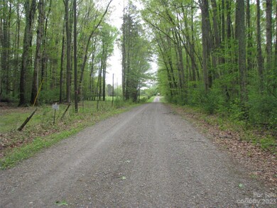 558 Akinbac Rd, Clover, SC 29710 - photo 5