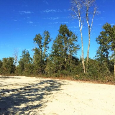 Lot 12 Martin Farms Rd, Crawfordville, FL 32327 - photo 4