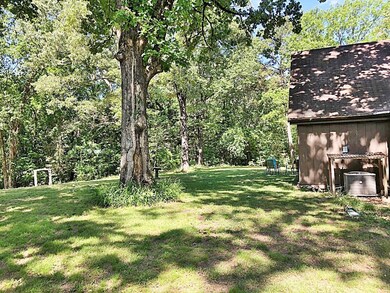 14 County Road 224, Oxford, MS 38655 - photo 5