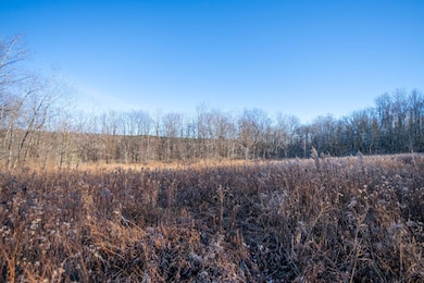 0 Clark Rd Lot 6, Masonville, NY 13839 - photo 5