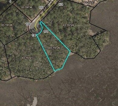 191 Bluebill Trail, Brunswick, GA 31523 - photo 6