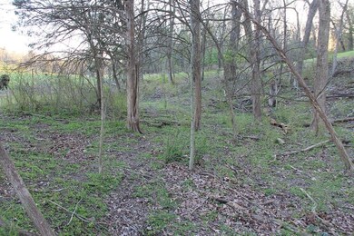 Lot 21 Park Ridge Dr, Lowell, AR 72745 - photo 2