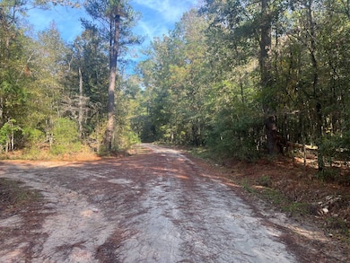 TBD Pulaski Dr E, Hampton, SC 29924 - photo 3