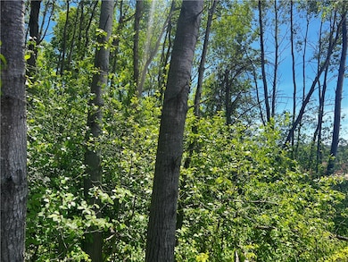 Lot 11 27th Ct, Chippewa Falls, WI 54729 - photo 6