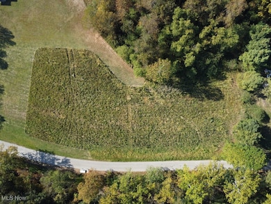 Aerial overview of property's location