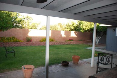 Backyard 1