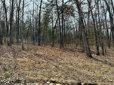 View of Woods In Area