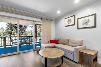 28-web-or-mls-DSC09739