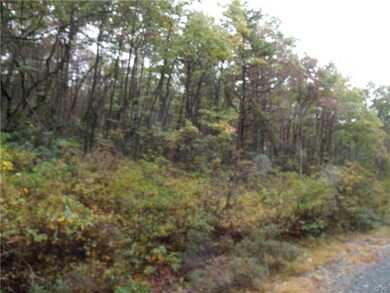 View from the road looking right of the driveway