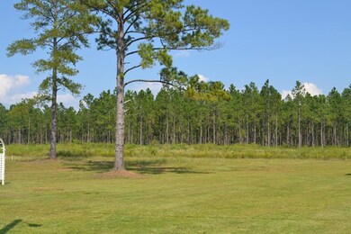 2270 Petross Rd, Ailey, GA 30410 - photo 4