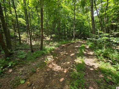 00 Pecan Dr, Cadiz, KY 42211 - photo 4