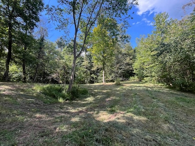 0 Old Sulphur Spring Rd, Columbia, KY 42728 - photo 4