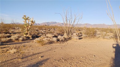 3501 S Wild Bill Rd, Yucca, AZ 86438 - photo 5