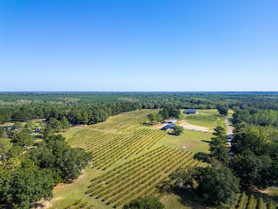 207 Wolf Creek Dr, Americus, GA 31719 - photo 2