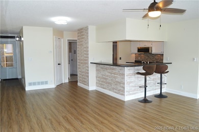 68 Branch Rd unit 314, Lake Ozark, MO 65049 - photo 6