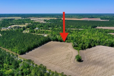 TBD Costie Allen Rd, Aynor, SC 29511 - photo 7