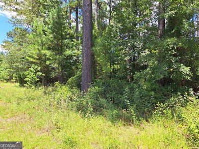 0 Shoreline Dr unit 10570833, Kingsland, GA 31548 - photo 7