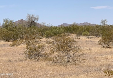 Mountain Views All Around!