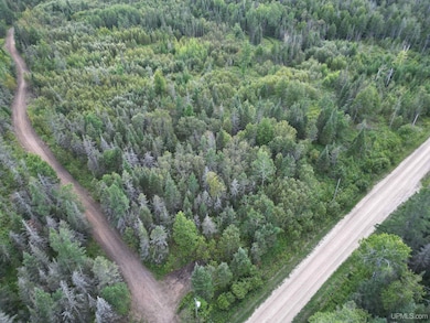 TBD Triple Creek Rd, Cornell, MI 49818 - photo 3