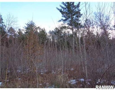 0 Fairgrounds Rd unit 902003, Lincoln Township, WI 54893 - photo 7