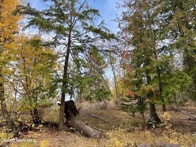 161 Brightwater Ln, Sandpoint, ID 83864 - photo 3