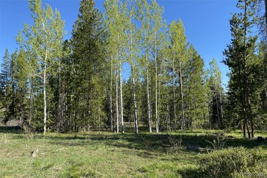 33255 Filly Trail, Oak Creek, CO 80467 - photo 2